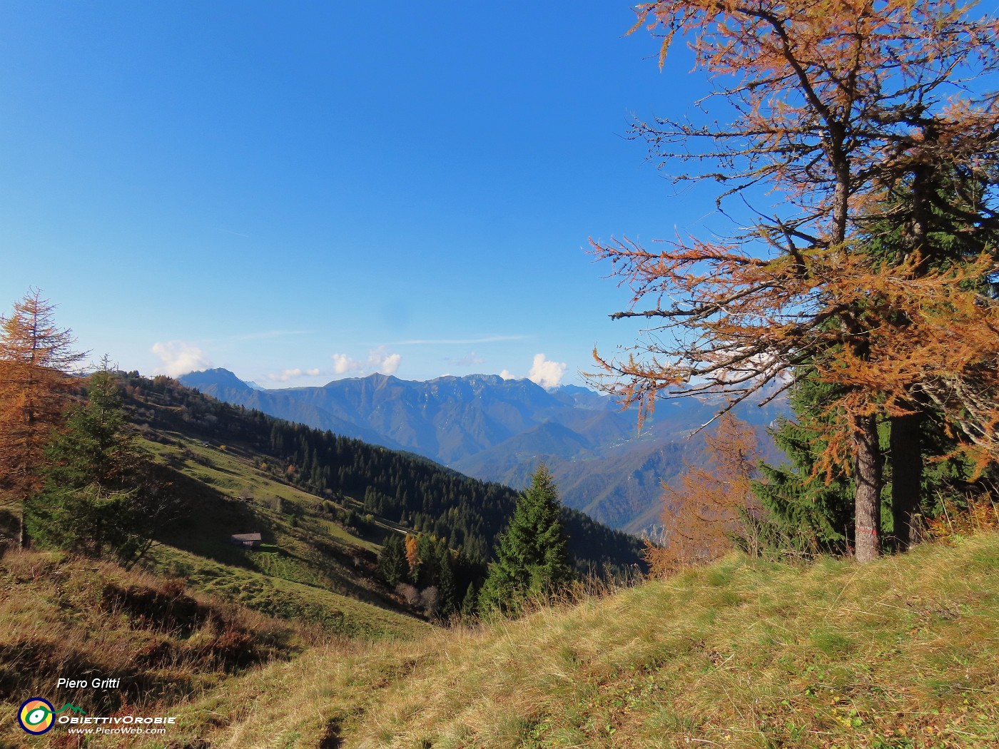 14 Larici colorati d'autunno.JPG